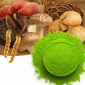 Mushroom Matcha Powder Manufacturer - Usda Organic Ceremonial Grade Guizhou Green Tea with Matcha Tin Can 30g