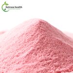 Strawberry Protein Powder Manufacturer - Organic Freeze Dried Flavor Natural Strawberry Powder