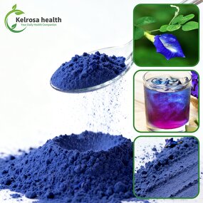 Butterfly Pea Flower Powder Manufacturer - Blue Organic USDA Thailand Supply Nature