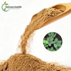 Mimosa Root Bark Powder Manufacturer - Natural Organic Plant Extracts 10:1 20:1 Extract