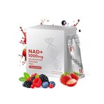 Drink Mix Manufacturer - Berry Flavored Antioxidant Health Skin Anti-Aging & GMP OEM