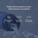 Akkermansia Capsules Manufacturer - 100 Million AFU AKK Probiotic Akkermansia Muciniphila