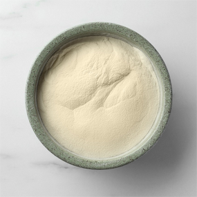 Xanthan Gum - Raw Material High Viscosity 1200-1800 MPa.s