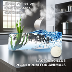 Lactobacillus Plantarum - Feed Grade Enzyme Type Animal Health