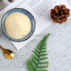 Bovine Gelatin - GMP & Halal Certified 50 Bloom for Collagen