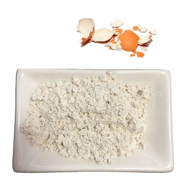 Eggshell Membrane Extract - High Quality Egg Shell Powder