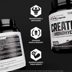 Creatine Monohydrate Powder Manufacturer - OEM ODM Pure Drink for Muscle Gain Strength Protein Supplement