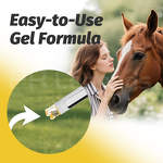 Horses Worm Remover Paste Manufacturer - OEM ODM Oral Care Effective Deworming Support Apple Taste Probiotic