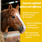 Equine Deworming Paste Manufacturer - Maunfacturer 1.87% Fast for Adult Foals Year Round Parasite Control