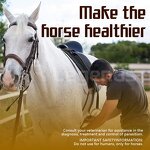 Horse Probiotic Gel Manufacturer - Custom Wholesale Support Immune Herbal Extract Supplements Apple Flavor