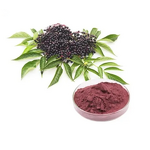 Black Elderberry Extract Powder Manufacturer - 25% Anthocyanins Bulk