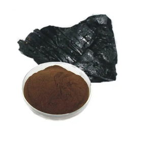 Shilajit Extract Powder Manufacturer - 100% Pure Himalayan