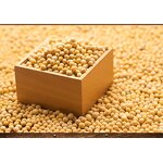 Natto Extract Powder Manufacturer - Nattokinase Enzymes Fermented
