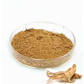 Red Ginseng Extract Manufacturer - High Quality Root Raw Materials