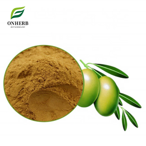 Chinese Olive Extract Powder Manufacturer - 99% White Olive Extract