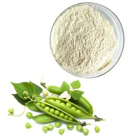 Fava Bean Protein Powder Manufacturer - Isolate Protein