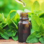 Kigelia Africana Extract Manufacturer - Kigelia Extract Oil