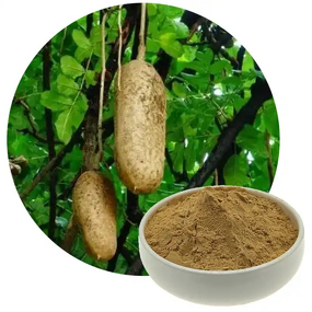 Kigelia Africana Extract Manufacturer - 100% Natural Fruit Extract