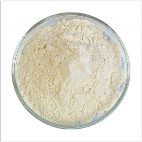 Bamboo Fiber Powder Manufacturer - 100% Pure Organic Food Grade