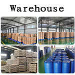 Soapberry Extract Powder Manufacturer - 80% Saponins Seed Extract