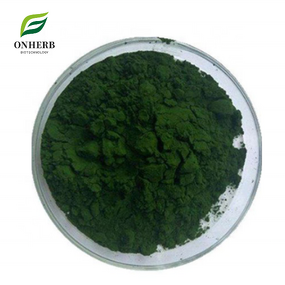 Chlorella Powder Manufacturer - 60% Protein Vulgaris Extract