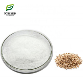 Soap Nut Extract Powder Manufacturer - 40% 70% 80% Sapindoside
