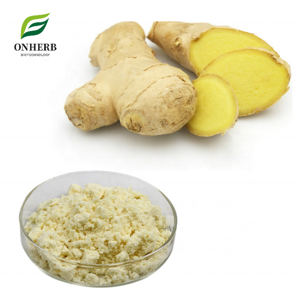 Ginger Extract Powder Manufacturer - 1% Gingerols Water Soluble