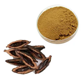 Areca Nut Extract Powder Manufacturer