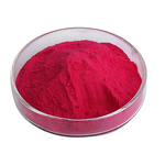 Miracle Fruit Extract Powder Manufacturer - Synsepalum Dulcificum