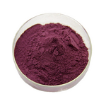 Miracle Fruit Extract Powder Manufacturer - Synsepalum Dulcificum