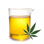 Hempseed Oil Manufacturer - Cold Pressed Refined for Skin & Hair