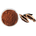 Areca Nut Extract Powder Manufacturer