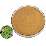 Mimosa Root Extract Powder Manufacturer - 10:1 Mimosa Bark
