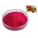 Miracle Fruit Extract Powder Manufacturer - Synsepalum Dulcificum