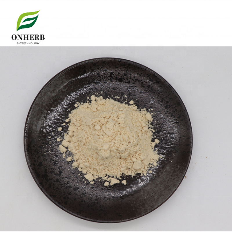 Watermelon Seed Extract Powder Manufacturer - 40% 60% Protein