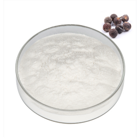 Soapnut Extract Powder Manufacturer - 40% 80% Saponin for Shampoo