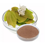 Epimedium Extract Powder Manufacturer - 1%-98% Icaritin