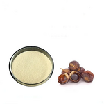 Soapnut Extract Powder Manufacturer - 40% 80% Saponin for Shampoo