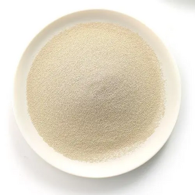 Torula Yeast Extract Powder Manufacturer