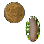 Kigelia Africana Extract Manufacturer - 100% Natural Fruit Extract