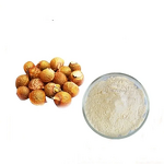 Soapnut Extract Powder Manufacturer - 40% 80% Saponin for Shampoo