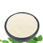 Mastic Gum Extract Manufacturer - Mastic Gum Powder