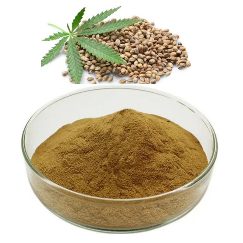 Hemp Protein Powder Manufacturer - 100% Natural Hemp Seed Extract