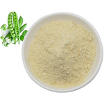 Fava Bean Protein Powder Manufacturer - Isolate Protein