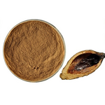 Areca Nut Extract Powder Manufacturer