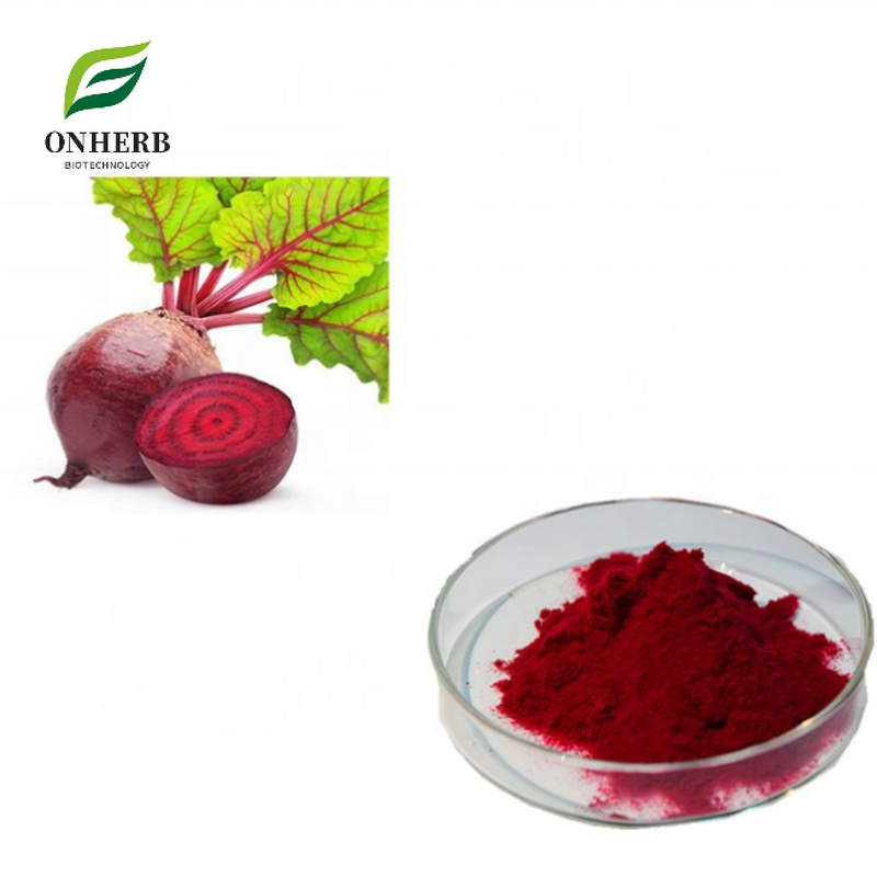 Beet Root Extract Powder Manufacturer - 4% Betanin Red Color