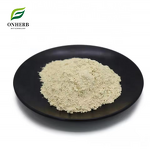 Earthworm Extract Powder Manufacturer - 90% Protein
