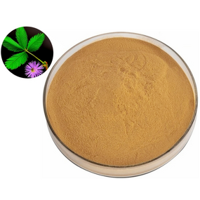 Mimosa Root Extract Powder Manufacturer - Mimosa Bark Extract