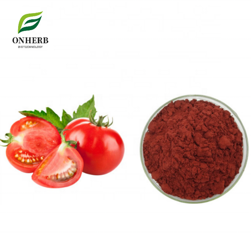 Tomato Extract Powder Manufacturer - 5%-98% Lycopene Organic