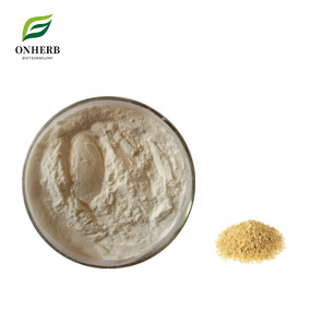 Brown Rice Protein Powder Manufacturer - 80% for Sports Nutrition